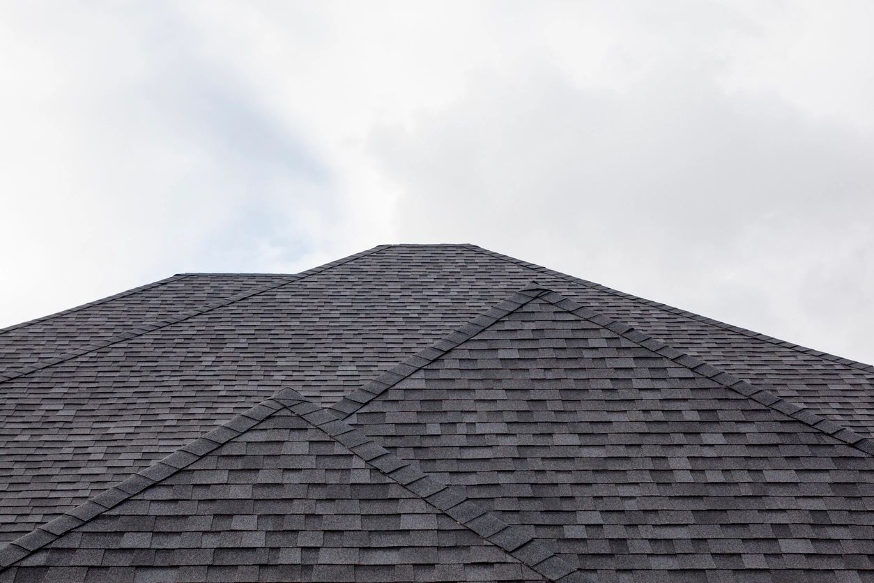 asphalt shingle roof